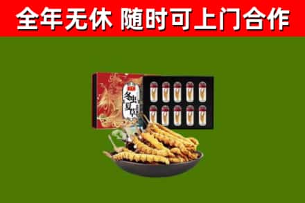 振兴区回收冬虫夏草价格